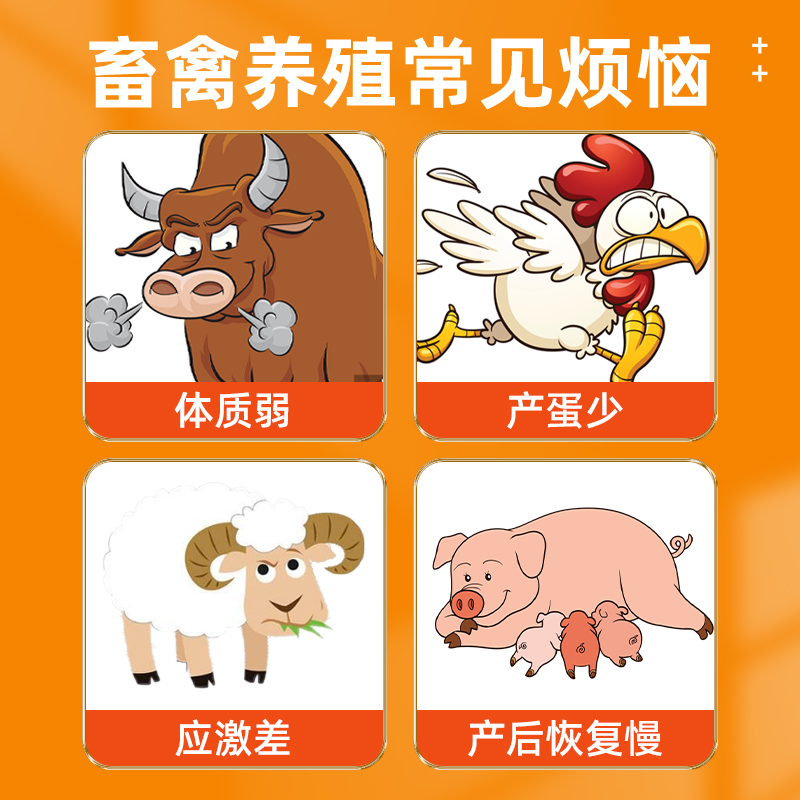 氨基酸多维葡萄糖粉兽用小鸡开口母猪牛羊鸡鸭鹅禽小猪饲料添加剂 - 图1