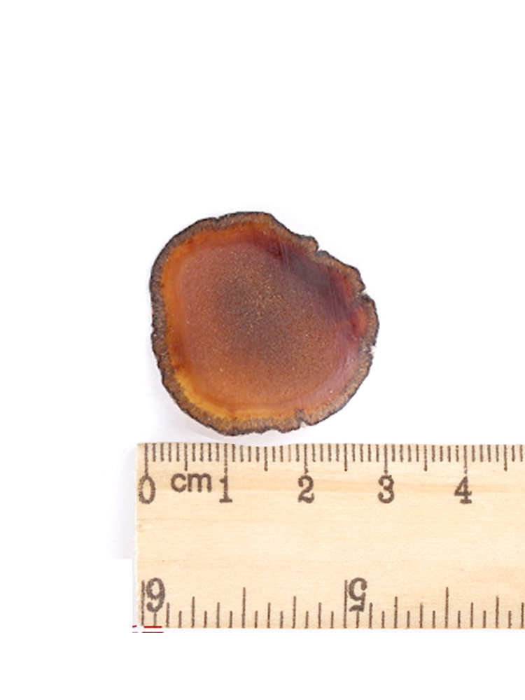 吉林梅花鹿全腊片鹿茸正品正宗干片 知鹿仁鹿茸片