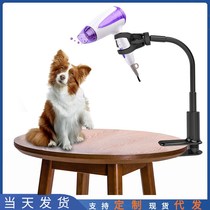 2023 new vertical pet hair dryer bracket Puppy cleaning beauty bathing tools FLOOR WIND-DRYER SLOTH