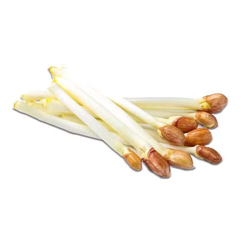 【千牛优福】新鲜花生芽500g/盒食用花生苗蔬菜芽苗长寿芽烫火锅,淘宝优惠券,粉丝福利购,淘宝优惠卷