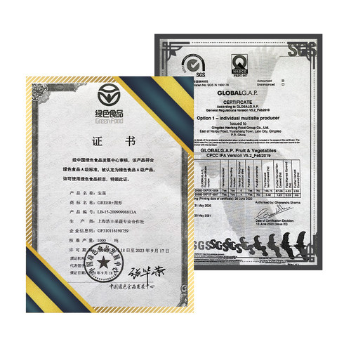【千牛优福】球生菜3-5斤装汉堡生菜轻食沙拉煎饼食材新鲜蔬菜 - 图2