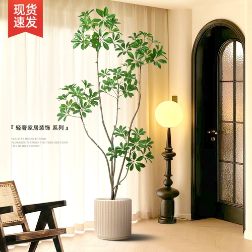 Смоделированные зеленые растения утиные ноги деревянные горшка растения бионические растения Внутренняя гостиная
