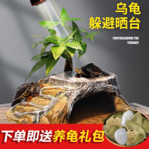 Tortoise Crock Turtle Sun Terrace Climbing Terrace High Water Level Sunning Stand Terraces Climbing Terraces Climbing Ladders Dodging Cave House Nest Building View Imitation Stones