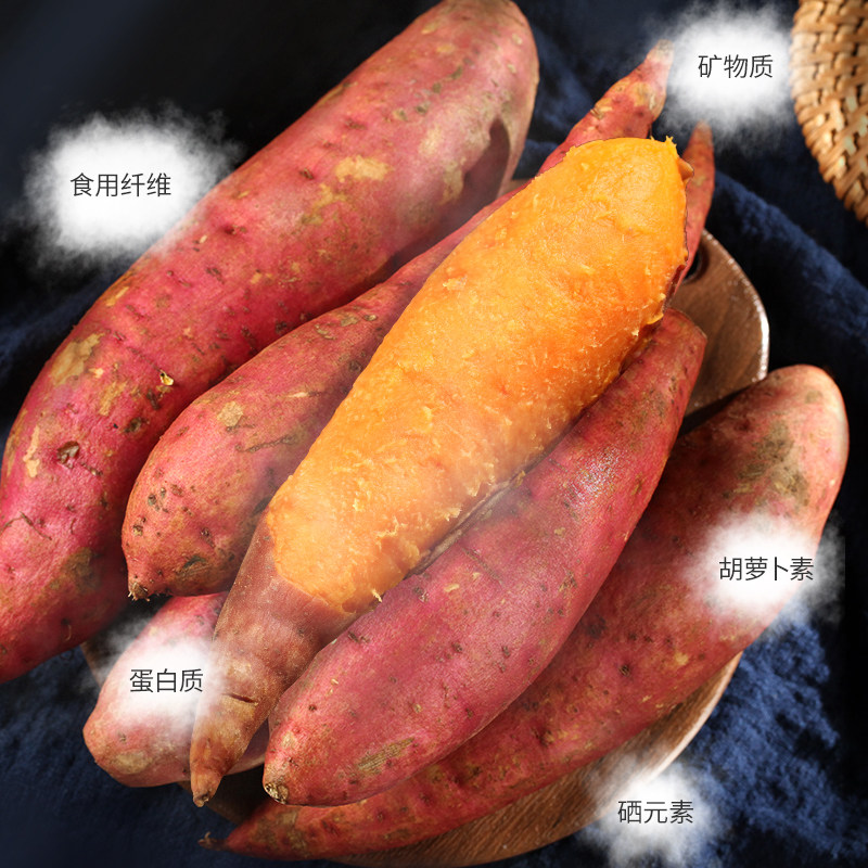 六鳌蜜薯糖心板栗新鲜10斤地瓜 觅江鲜生鲜番薯