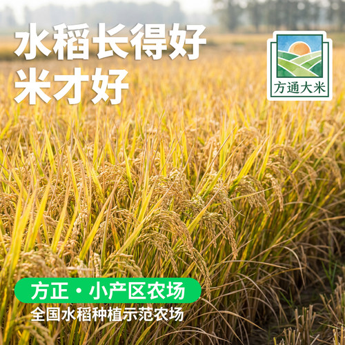 方通 2025年新米大米油润回甘长粒香米5kg10斤东北大米甄选水稻 - 图1