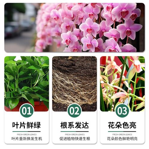 复合肥蔬菜农用种菜氮磷钾养花肥家用通用型复合肥肥料果树复合肥 - 图3