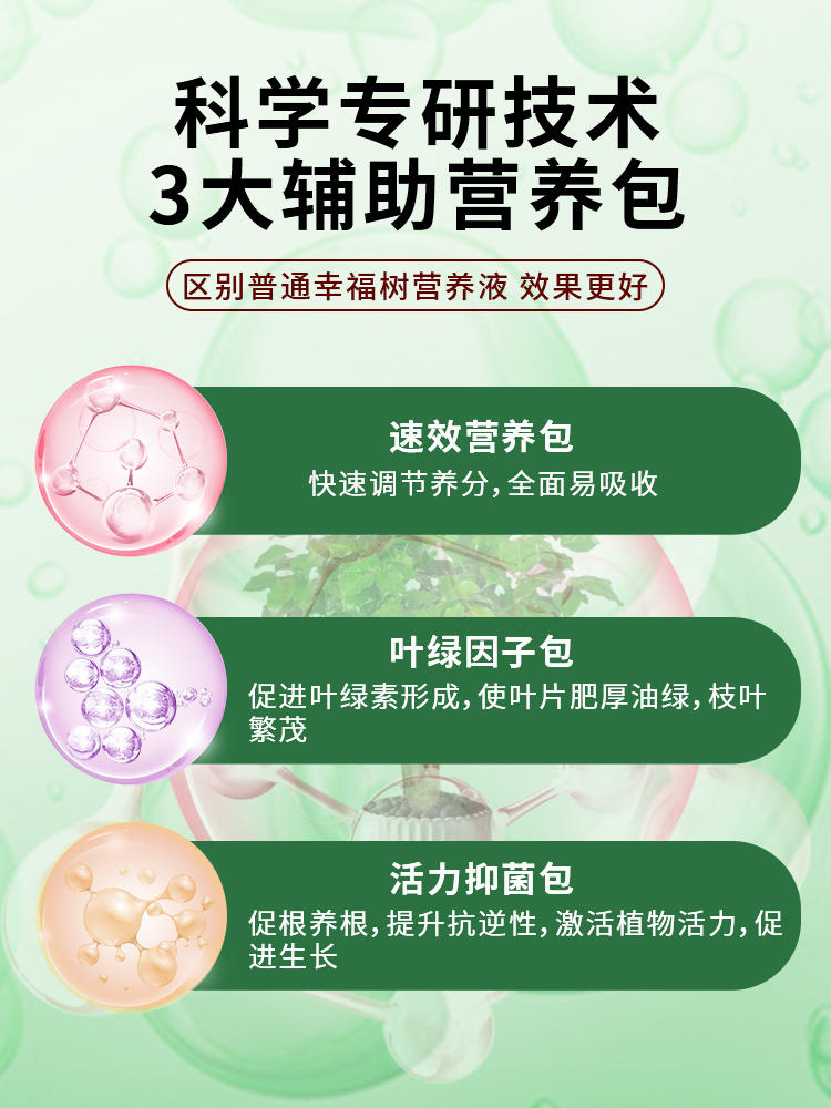 幸福树专用肥料营养液盆栽室内掉叶家用绿植氮磷钾肥复合肥通用型 - 图2