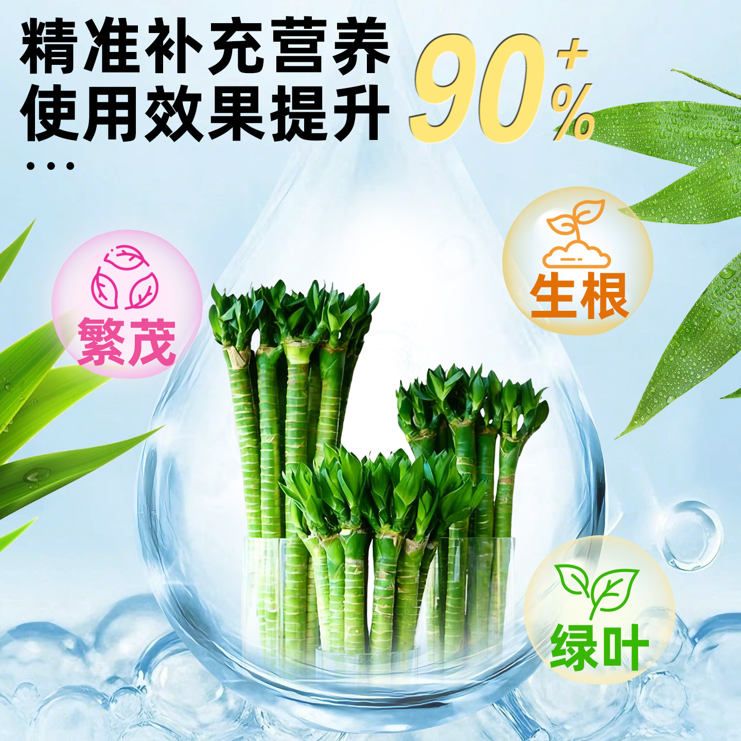 龙竹营养液文昌竹专用肥治叶子发黄水培植物生根水溶液体肥富贵竹,淘宝优惠券,粉丝福利购,淘宝优惠卷