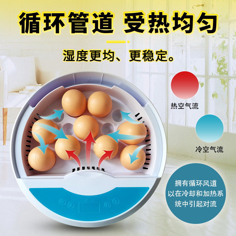 HHD孵化器小型家用型鸡鸭鸟类孵蛋器迷你自动恒温孵化机鹦鹉鸟类,淘宝优惠券,粉丝福利购,淘宝优惠卷