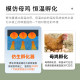 HHD Home Small Incubator Dual Power Supply
