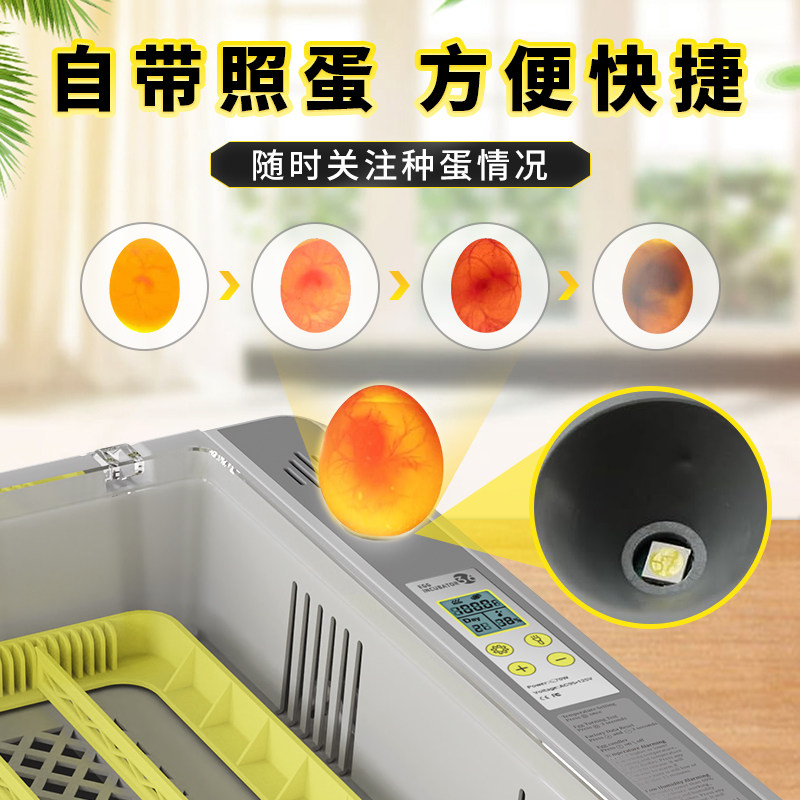 HHD新款孵化器温湿双显家用自动控温智能孵蛋器鹦鹉鸡鸭鸟类鹅蛋,淘宝优惠券,粉丝福利购,淘宝优惠卷