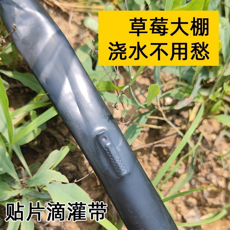 滴灌带农用贴片式滴灌管单双孔16mm地微喷溉地灌管水带全套设备-图1