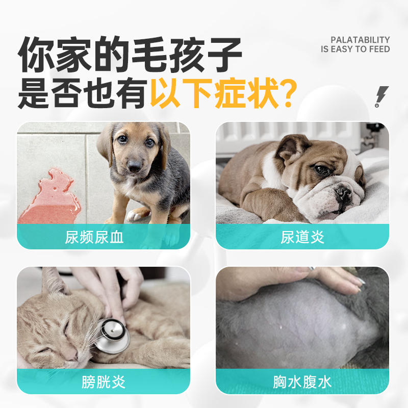 宠医到呋塞米猫咪泌尿道结石狗膀胱结石排尿利尿闭呋塞米肝腹水肿
