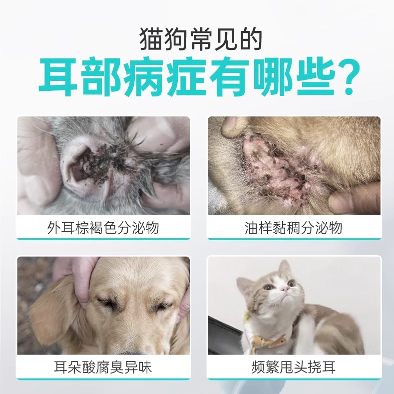 宠医到尔净泰耳螨猫用宠物真菌狗耳螨药马拉色菌洗耳液耳肤软膏灵