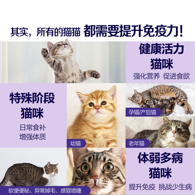 【渠道专享】素力高免疫粒猫用零食冻干免护原蛋白颗粒正品453g