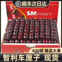 Chilean car centes 5 catties of fresh fruit great cherry Shun Feng pregnant woman when season full box 4j3 black pearl 2