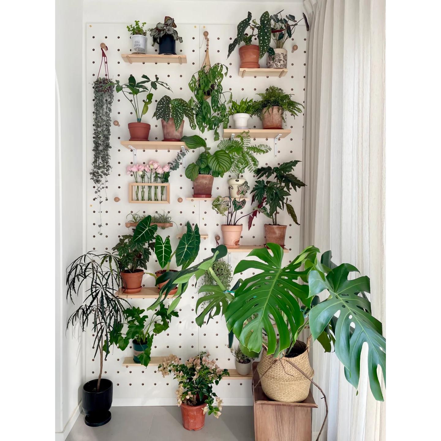 阳台洞洞板养花架绿植墙定制置物架墙上装饰窗台落地移动花盆架子 - 图2