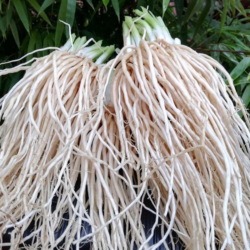 撇了菜是什么菜,这是什么,鱼是什么鱼_大山谷图库