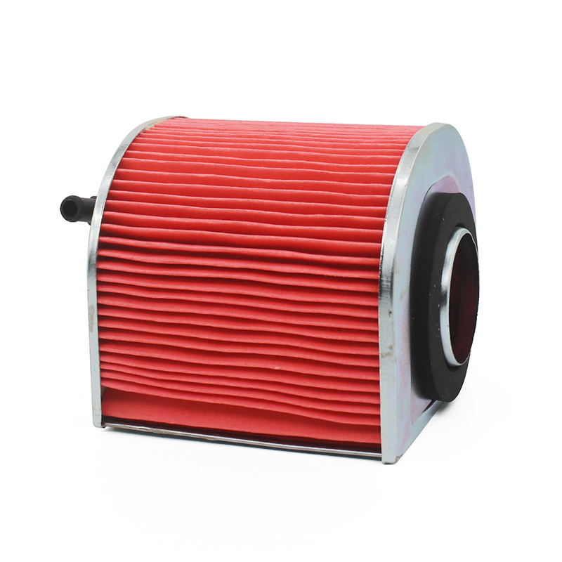 大地鹰王太子摩托车街头霸王DD250E-9A -9B-9C-5F空气过滤芯空滤 - 图3