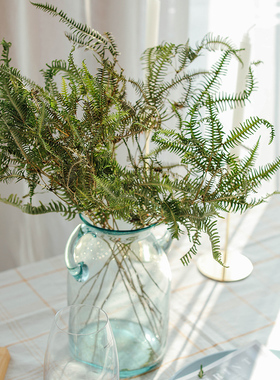 干花真花ins芒萁配叶风小植物