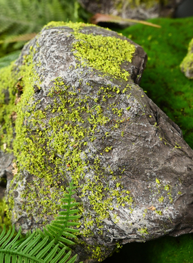 仿真石头造景青苔泡沫假山摆件