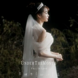 月下相恋 Короткий ретро реквизит для невесты подходит для фотосессий, популярно в интернете, в стиле «Мори»