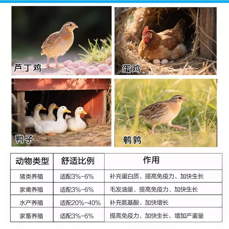 鱼粉喂鸡养殖饲料批发秘鲁进口鱼骨粉国产纯正宗喂鸭芦丁鸡双波牌,淘宝优惠券,粉丝福利购,淘宝优惠卷