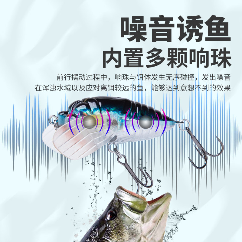 国王路亚水面蝉路亚饵仿生饵浮水远投夜钓仿真昆虫翘嘴鲈军鱼假饵,淘宝优惠券,粉丝福利购,淘宝优惠卷