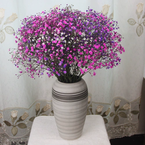 Юньнан естественным образом полон звездных высушенных цветов Букеты истинные цветочные луче