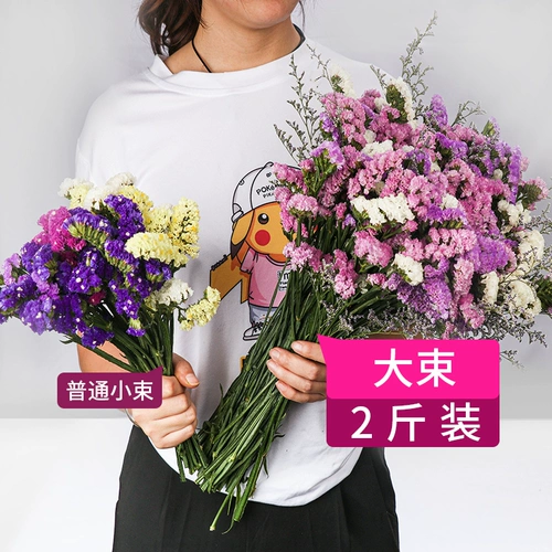 Сухой цветок букет гостиной