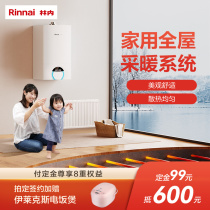 Rinnai Lin Mainland Warm System Concealed Heating Sheet System Natural Gas Wall Hanging Stove New House Furnishing Heating Scheme