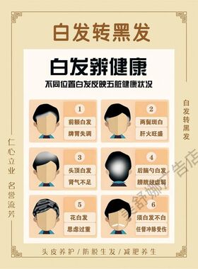 白转嘿海报养发馆装饰画生发育发广告毛发结构图白发转黑发宣传画