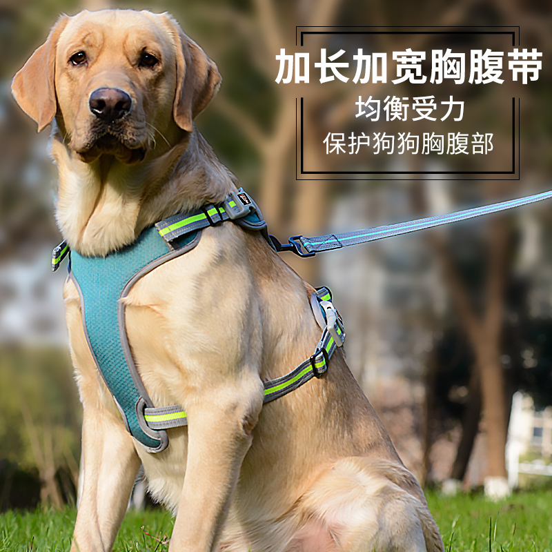 狗狗牵引绳中型大型犬狗链子遛狗背心式狗绳子金毛拉布拉多胸背带 - 图1