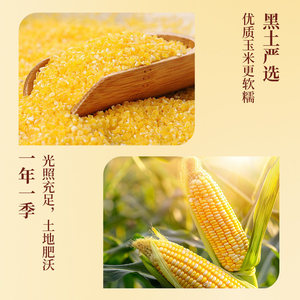 北大荒东北玉米碴5斤大玉米糁玉米碴子农家五谷杂粮笨玉米大碴粥