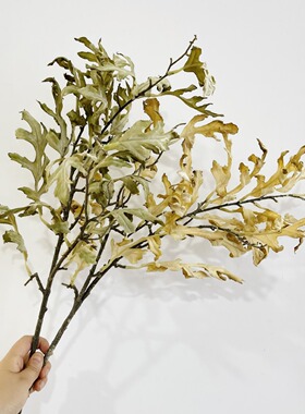 仿真花仿干花高粱帝王花