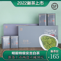 Angji White Tea 2022 New Tea Listing Gift Box Installed former special class tea authentic high mountain green tea upscale 250g