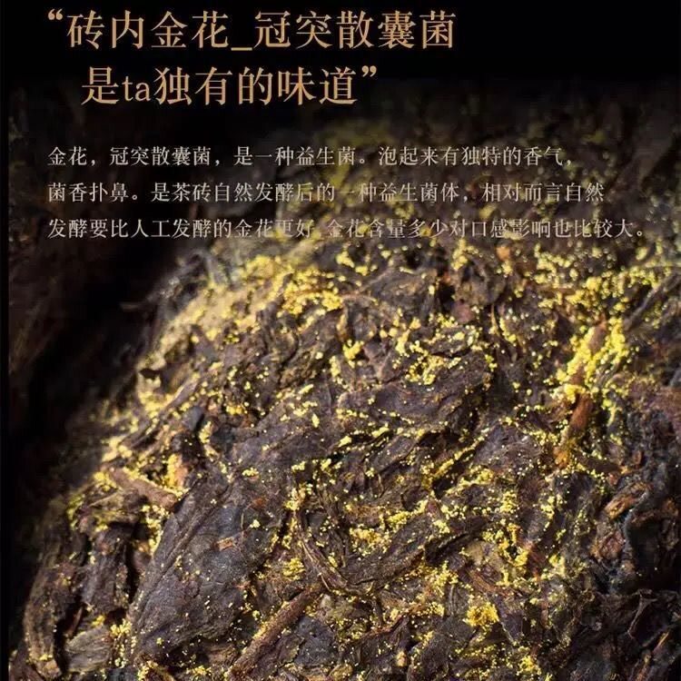  晶客安化黑茶