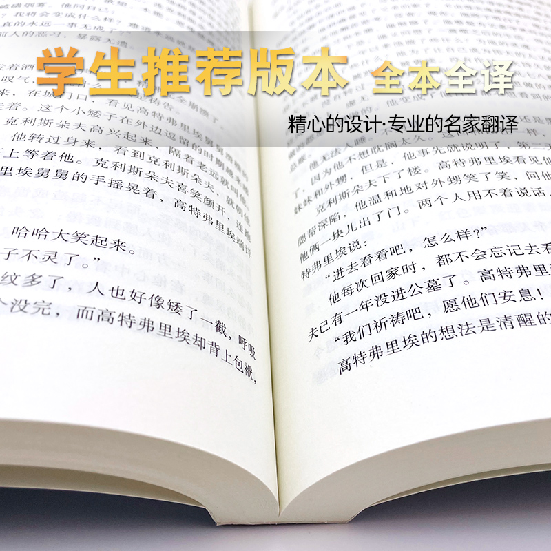 【完整版无删减】全套2册约翰克里斯朵夫上下正版 全译心本罗曼罗兰中文原版原著世界十大名著外国经典文学小说北方文艺出版社 - 图1