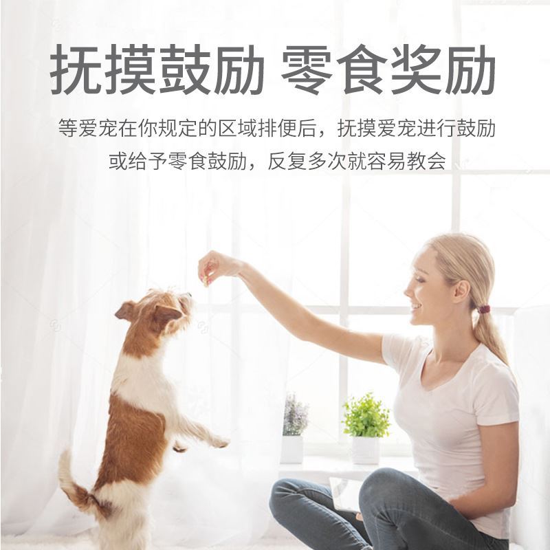 拉布拉多专用大型犬狗狗定点上厕所大小便引导训练宠物诱导剂用品-图2