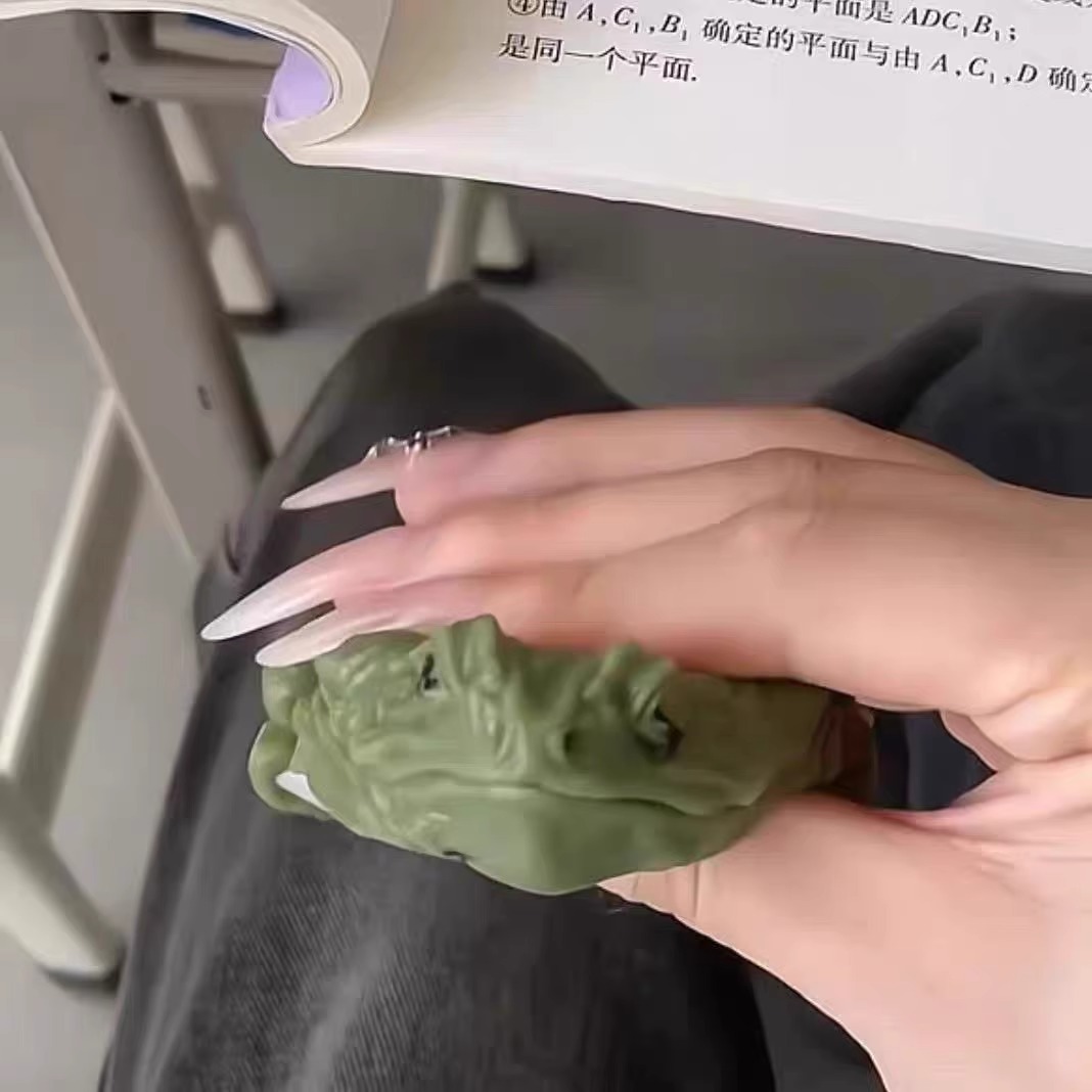 抖音同款解压整蛊玩具癞蛤蟆捏捏乐自制手绘泄愤玩具仿真青蛙送人 - 图0