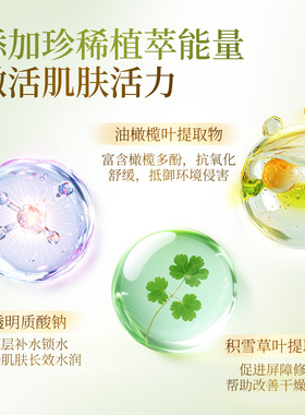 海伦女神希腊进口油橄榄舒缓修护精华液补水保湿日常维稳修屏障