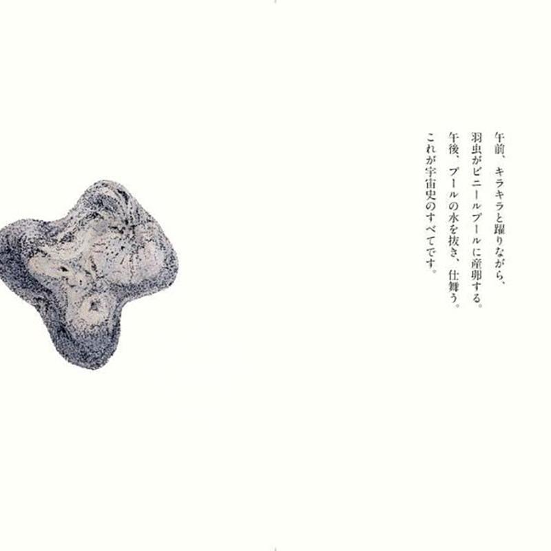 现货 进口日文 漫画 宝石之国 宝石の国(13)特装版 付诗集 - 图3