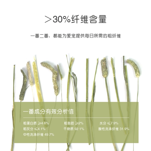 Он подходит для кроликов для корма для корма с сушкой травой, голландской свинины -соседки кролика