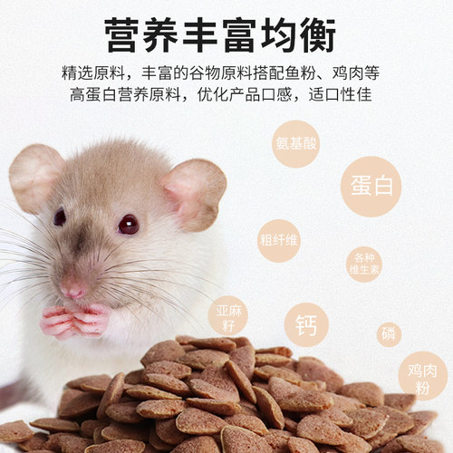 花枝鼠粮食主粮全龄阶段营养合成三角粮营养鼠粮用品饲料食物零食 - 图0