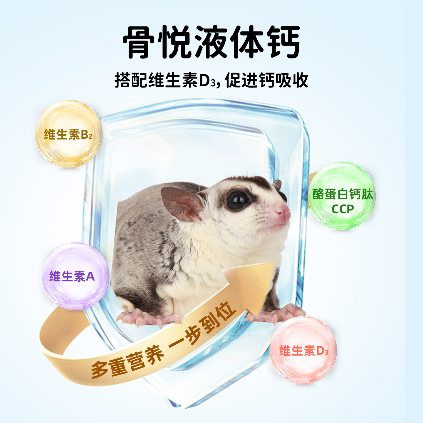 蜜袋鼯补钙用品花枝鼠土拨鼠缺钙快速补钙松鼠液体钙后腿无力钙粉 - 图3