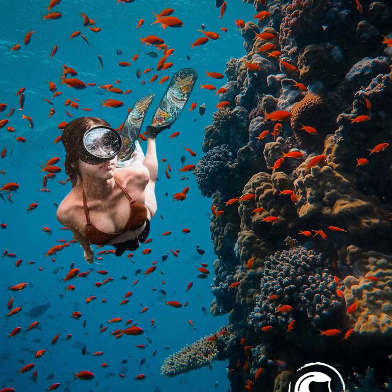 澳大利亚DiveR纯碳纤维高颜值长脚蹼专业渔猎自由潜水长袜鞋 - 图1