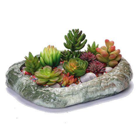 多肉植物素烧组合盆栽清仓粗陶透气个性陶瓷大号口径简约拼盘花盆,淘宝优惠券,粉丝福利购,淘宝优惠卷