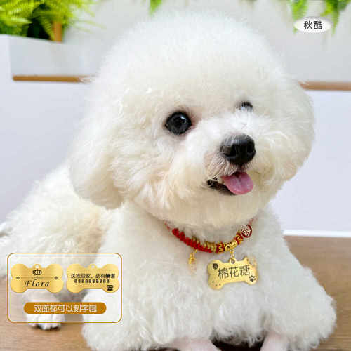 防丢狗牌犬红绳手工编织比熊泰迪博美宠物刻字新年脖圈可调节饰品 - 图0