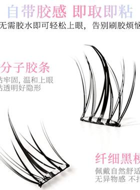 免胶太阳花假睫毛自然仿真