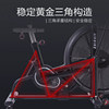 Leuy spinning bike Leuy wind resistance bike